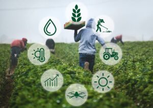 Read more about the article What Makes an Agribusiness Sustainable in 2025?