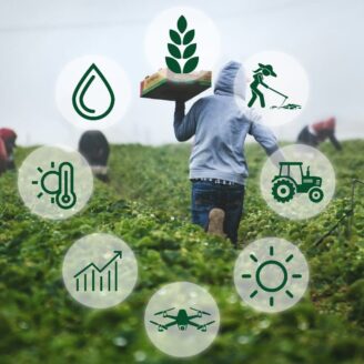 What Makes an Agribusiness Sustainable in 2025?