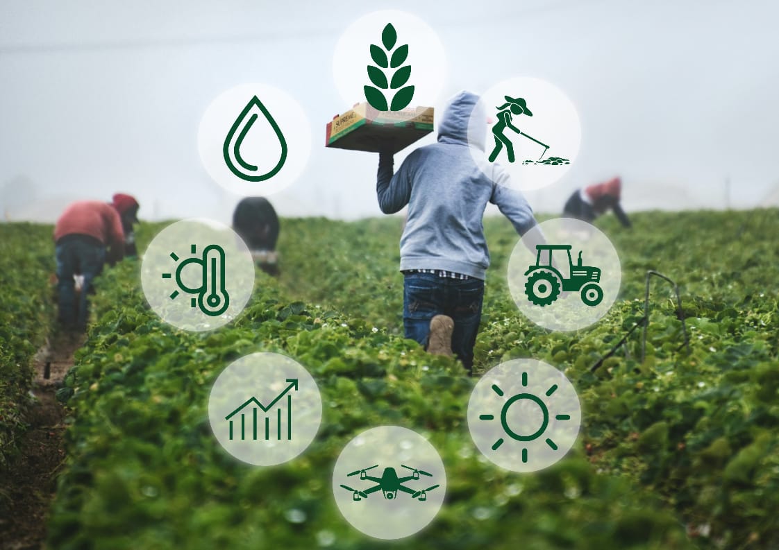 You are currently viewing What Makes an Agribusiness Sustainable in 2025?