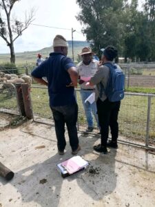 Read more about the article THE REAL IMPACT OF AGRICULTURAL ADVISORS: GUIDING FARMERS FROM SOIL TO MARKET