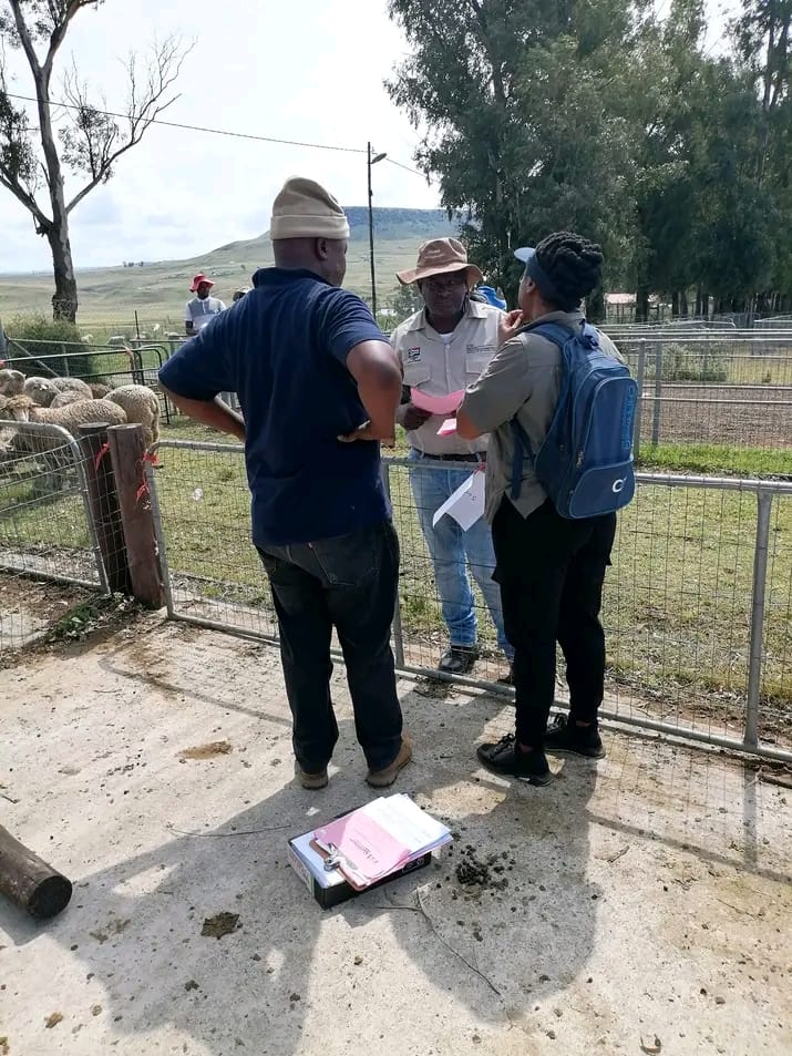 You are currently viewing THE REAL IMPACT OF AGRICULTURAL ADVISORS: GUIDING FARMERS FROM SOIL TO MARKET