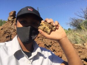 Read more about the article Building Resilient Soils: Why Biological Farming Is the Future of Crop Production