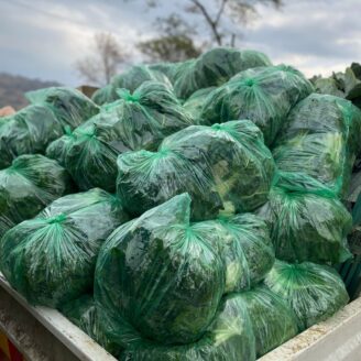 We are feeding the world, but struggling to feed ourselves