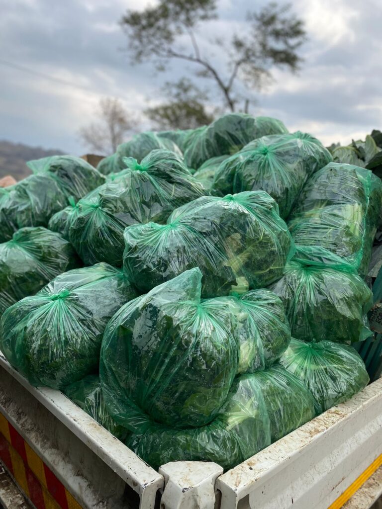 Bags of green vegetables in truck