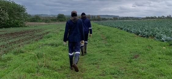 Two people walking in a field