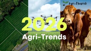 Read more about the article What Farmers Should Look Out for in 2026: Key Trends Shaping South African Agriculture