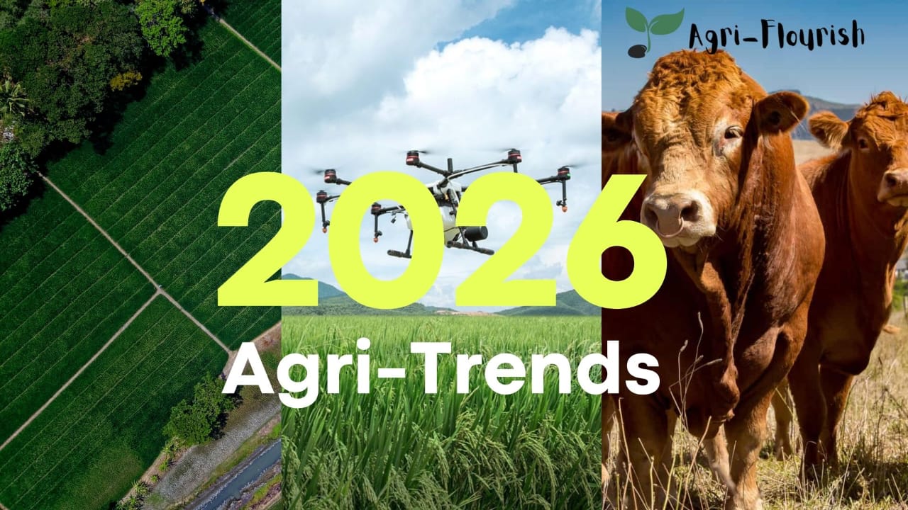 You are currently viewing What Farmers Should Look Out for in 2026: Key Trends Shaping South African Agriculture