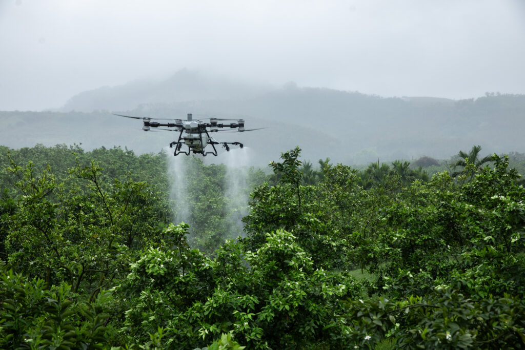 From Blanket Spraying to Precision Decisions: How Drones Change Input Use 2