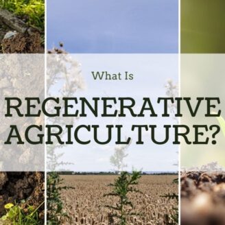 The 5 Principles of Regenerative Agriculture: And Why Most Farms Only Practice One