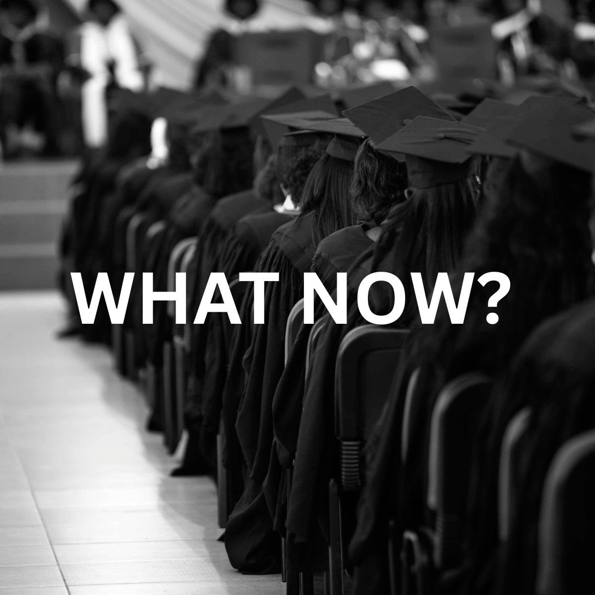 You are currently viewing How to Navigate Government Job Applications as an Agricultural Graduate in South Africa 