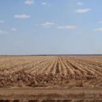 El Niño Is Back: What South African Farmers Need to Know and How to Prepare
