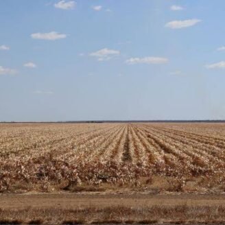 El Niño Is Back: What South African Farmers Need to Know and How to Prepare